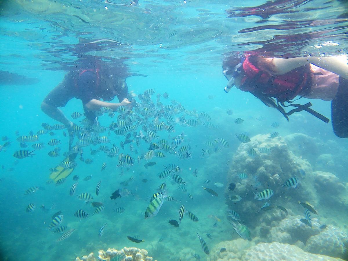 Kepulauan Seribu 皇家美人鱼旅馆酒店 外观 照片